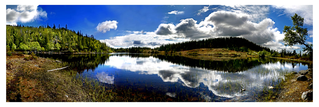 photo "Vintervatnet i Trondheim" tags: landscape, spring