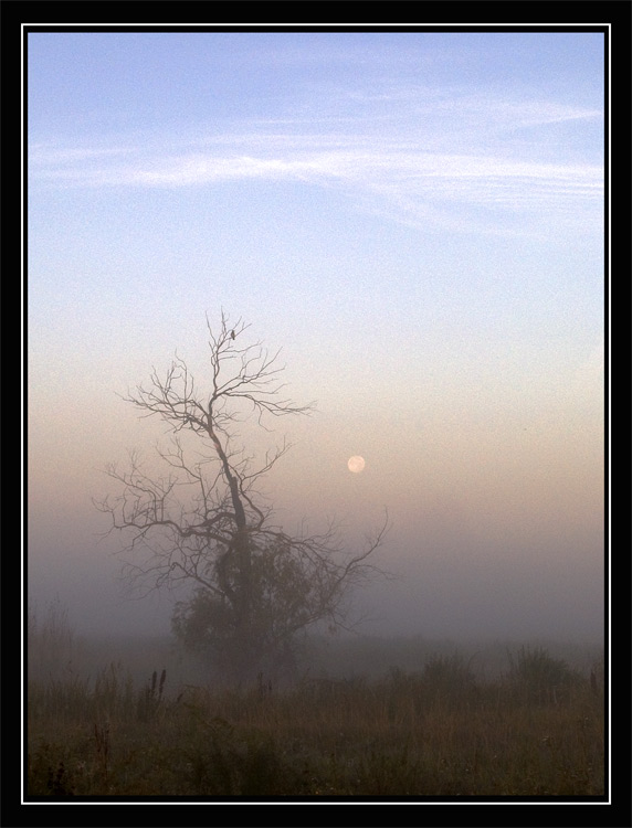 фото "Epigraph" метки: разное, пейзаж, осень