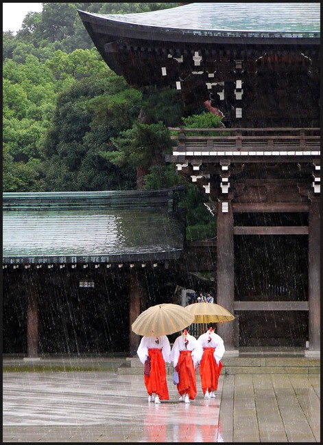 фото "дождливая" метки: путешествия, Азия
