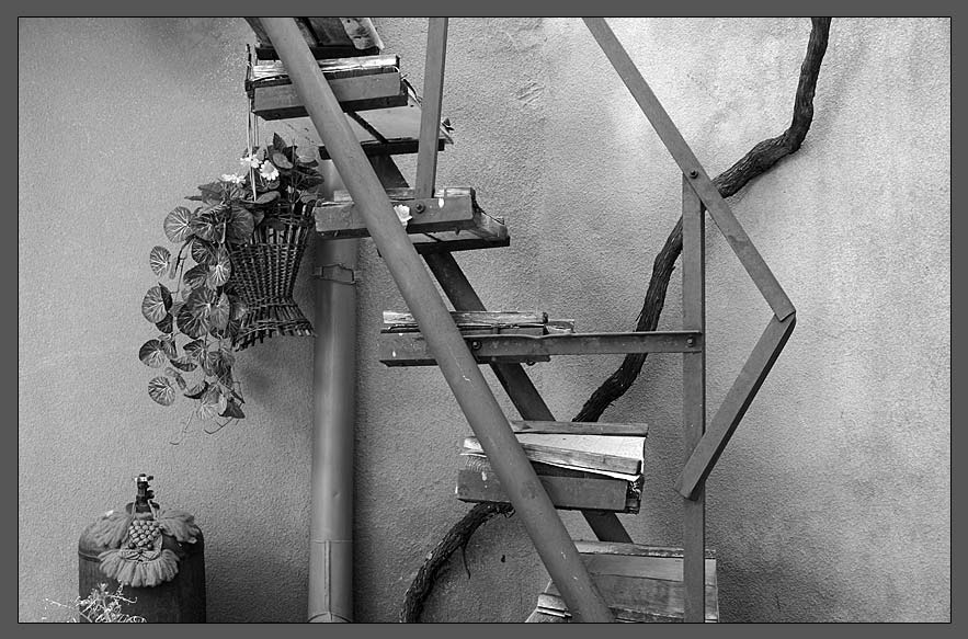 photo "Ladder in an old court yard" tags: genre, architecture, landscape, 