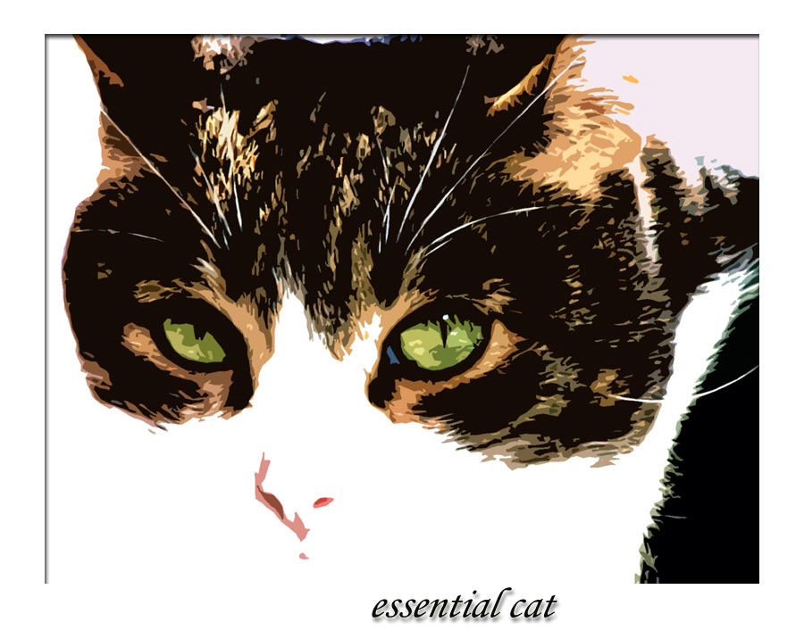 photo "essential cat" tags: nature, pets/farm animals
