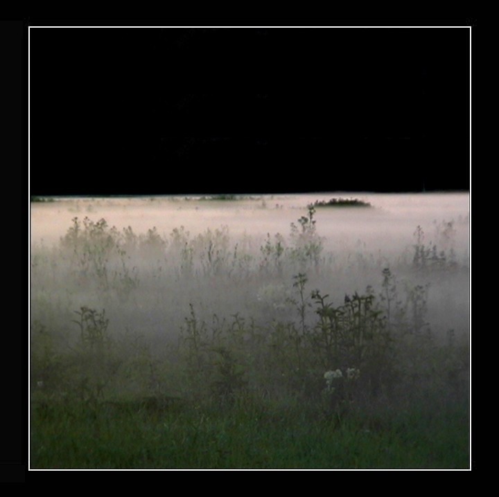 фото "Fog" метки: разное, 