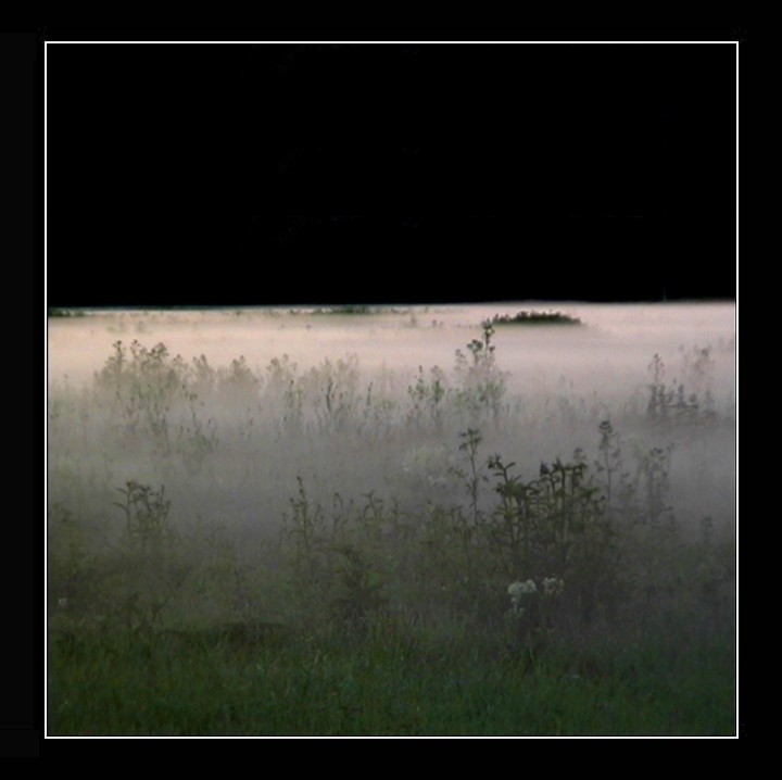 photo "Fog" tags: misc., 