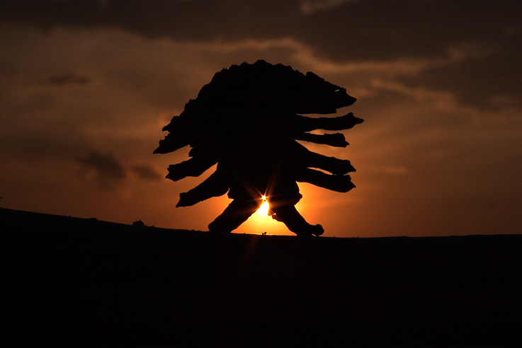 photo "The alien" tags: abstract, landscape, sunset