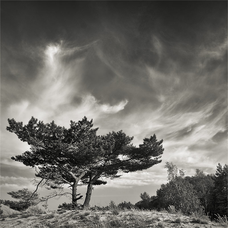 photo "wind" tags: landscape, 