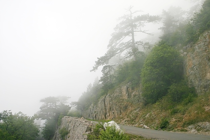 photo "Mountain Road" tags: nature, landscape, 