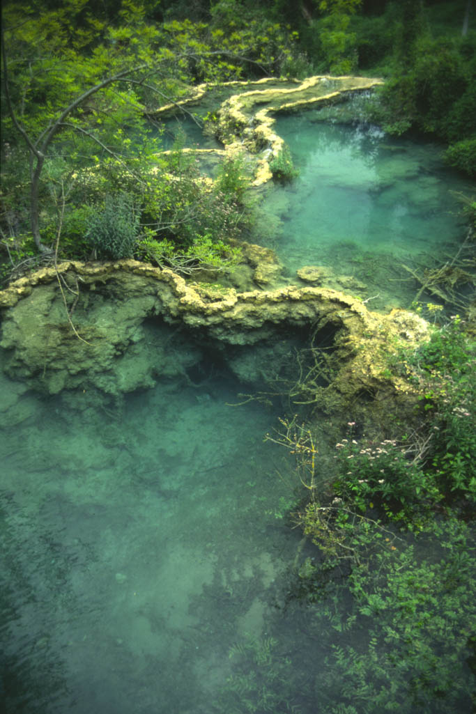 photo "Blue but green planet." tags: landscape, nature, flowers, water