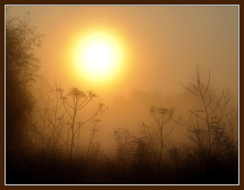 фото "Туманная открытка с Cолнцем" метки: пейзаж, закат, осень