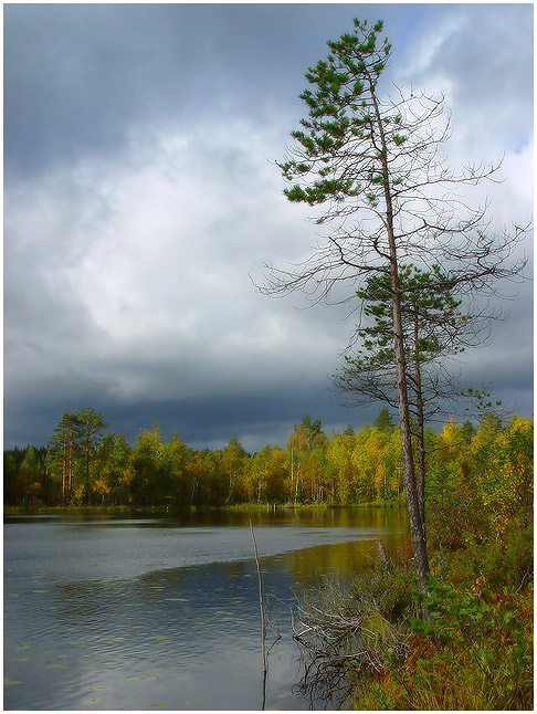 photo "*****" tags: landscape, autumn