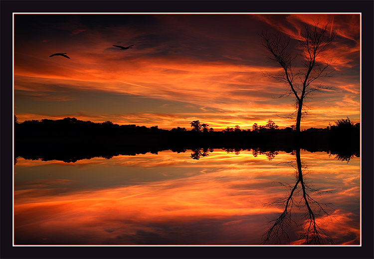 photo "September Dream" tags: landscape, montage, sunset