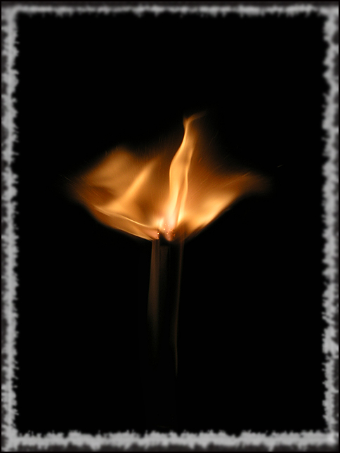 photo "Fire" tags: macro and close-up, montage, 