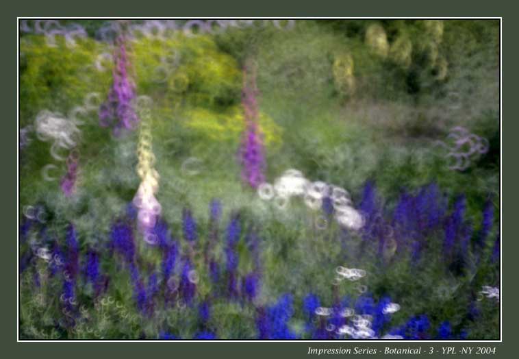 photo "Impression 3 at the NYBG" tags: nature, portrait, flowers, woman