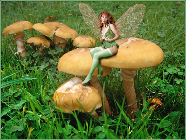 фото "There are fairies at the bottom of my garden" метки: юмор, портрет, 