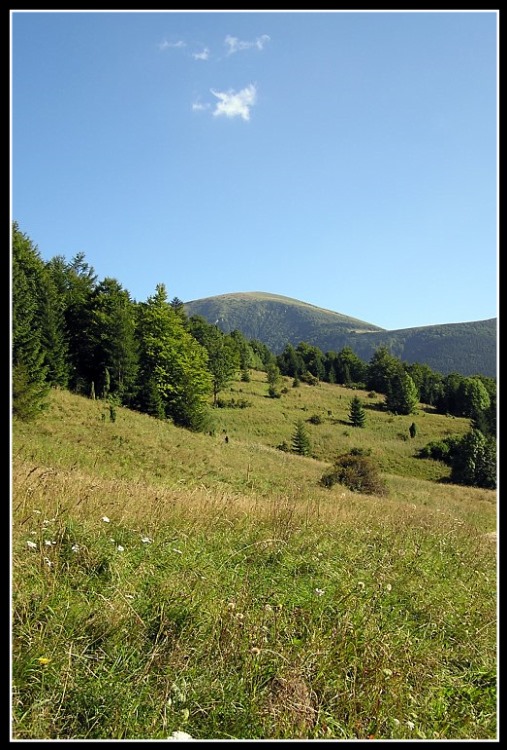 photo "Slovakia #2" tags: travel, landscape, Europe, forest