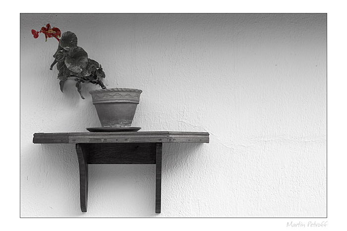 photo "***" tags: black&white, still life, 