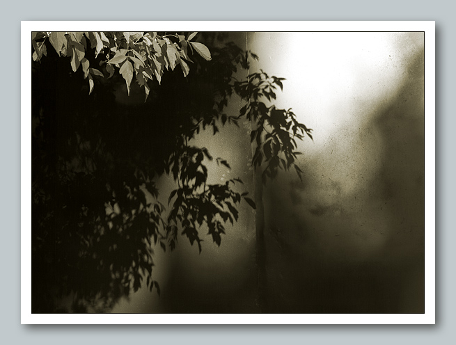 photo "***" tags: black&white, 