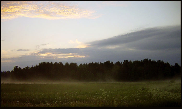 photo "Dawns" tags: landscape, clouds, forest