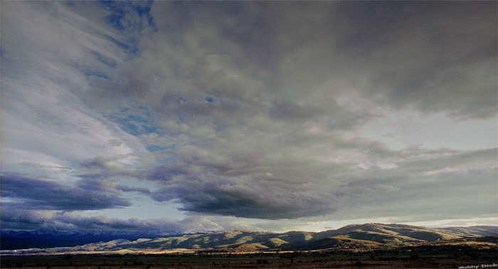 photo "Verila" tags: landscape, forest