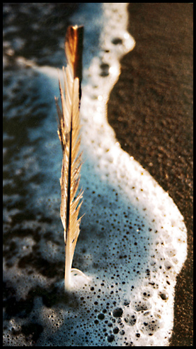 photo ""In Sand geschrieben"" tags: nature, 