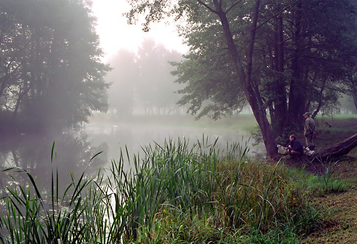 photo "Silent morning" tags: landscape, water