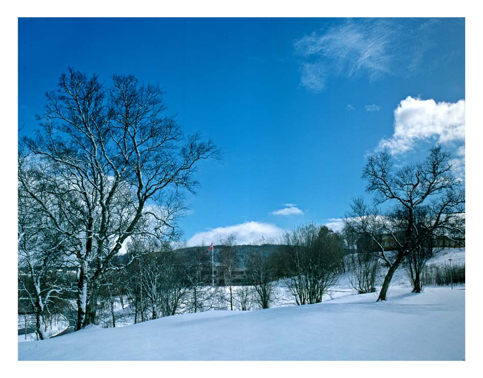 photo "Soon winter" tags: landscape, winter