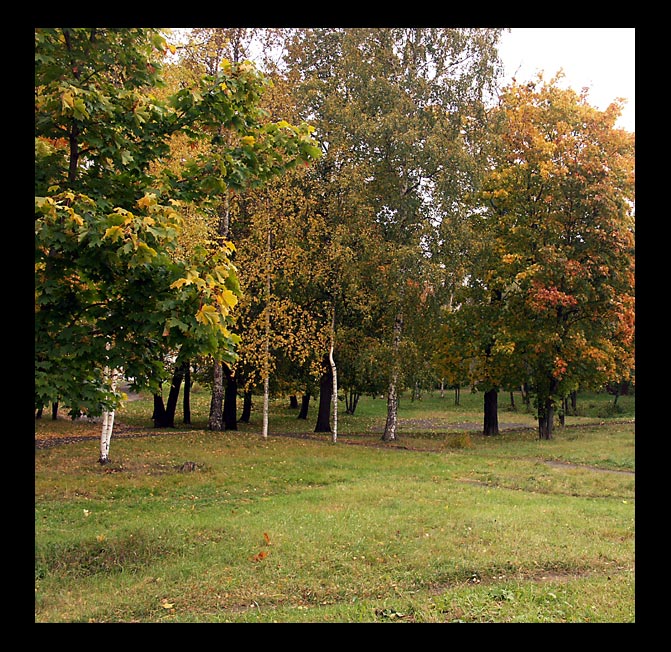 photo "Autumn park" tags: landscape, autumn, forest