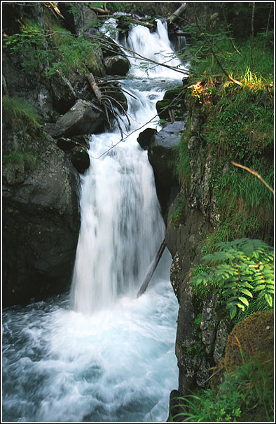 photo "Stream" tags: landscape, forest, water