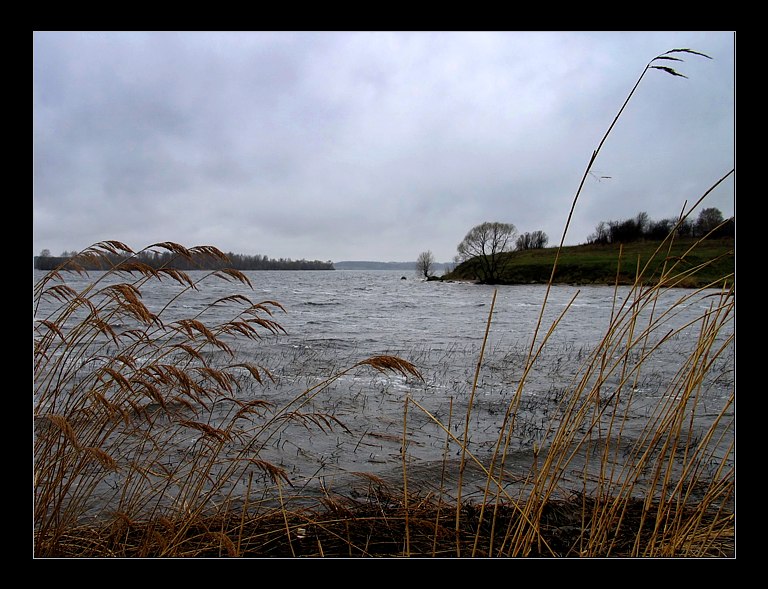 photo "Wet weather" tags: landscape, nature, water