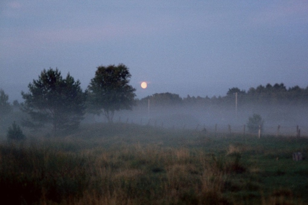 фото "Summer evening" метки: природа, 