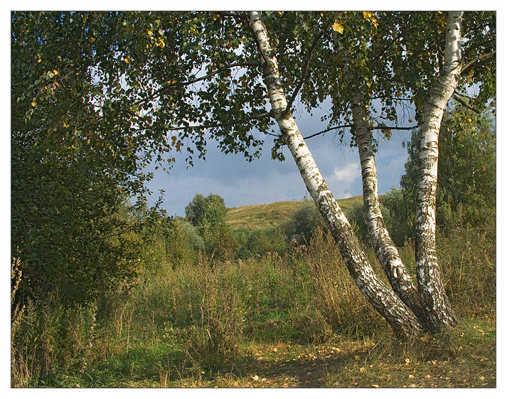 photo "The beginning of autumns" tags: landscape, autumn