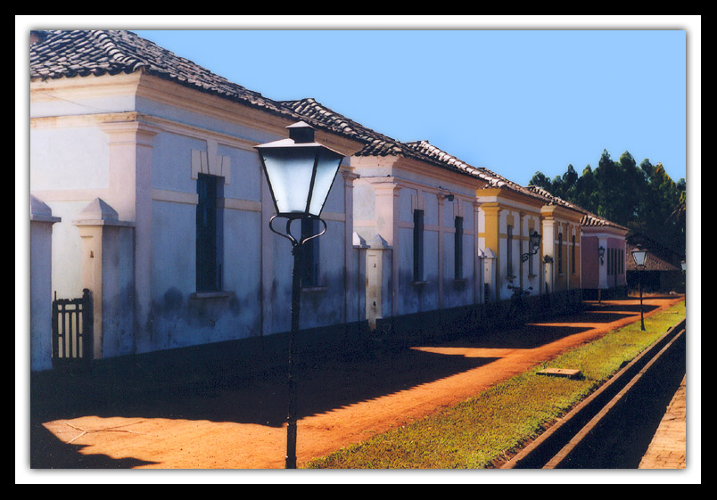 photo "Colony #2" tags: misc., 