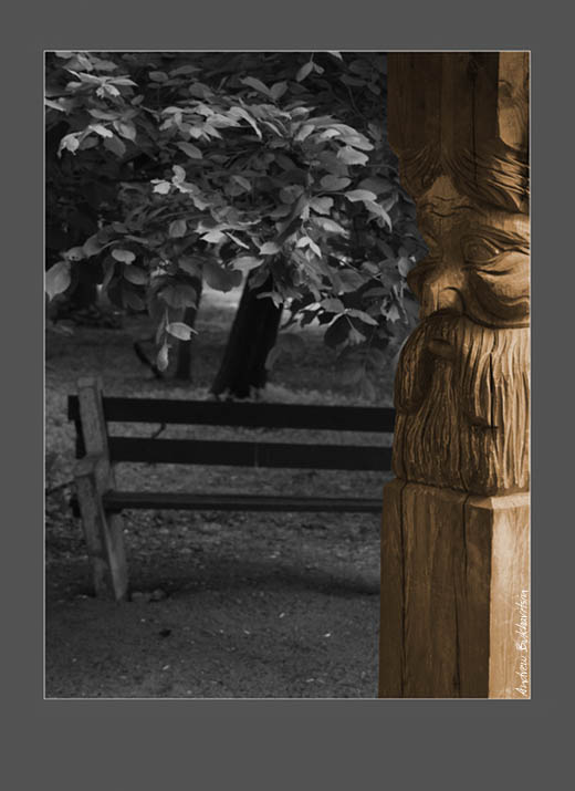 photo "Sadness" tags: black&white, landscape, 