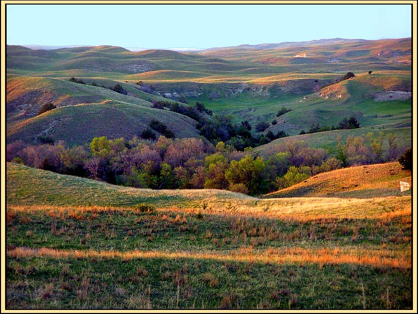 photo "Cottonwood Oasis" tags: travel, landscape, North America, mountains