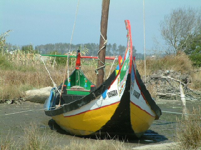 photo "Boats - Moliceiro" tags: travel, Europe