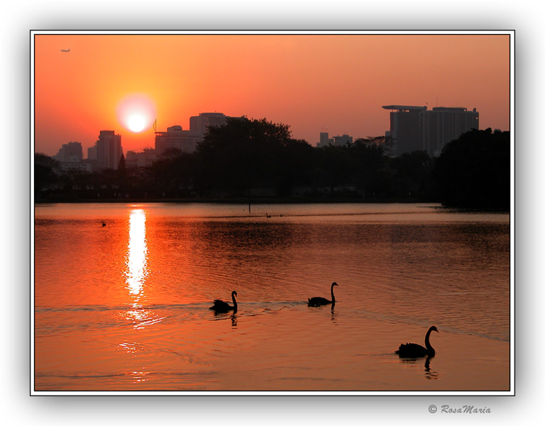photo "Swan`s Lake" tags: travel, landscape, South America, sunset