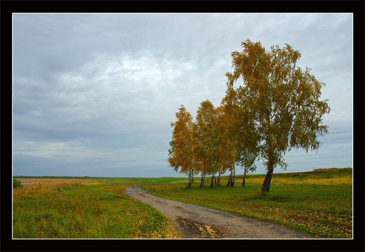 фото "Осенняя Дорога" метки: разное, пейзаж, осень