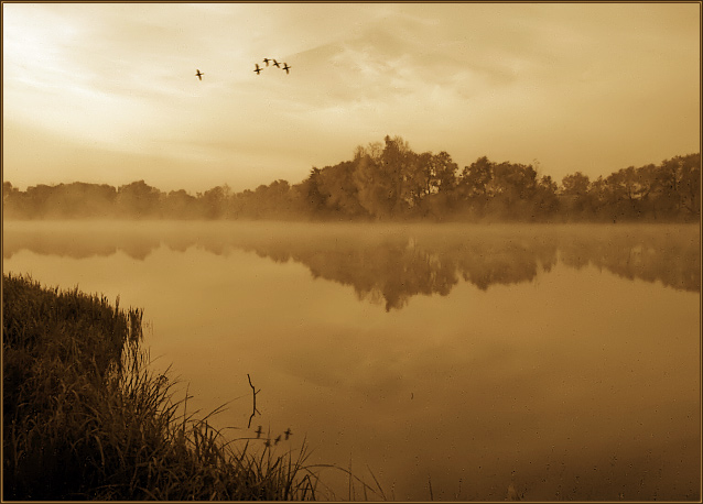 photo "Farewell fly-around." tags: landscape, autumn, sunset