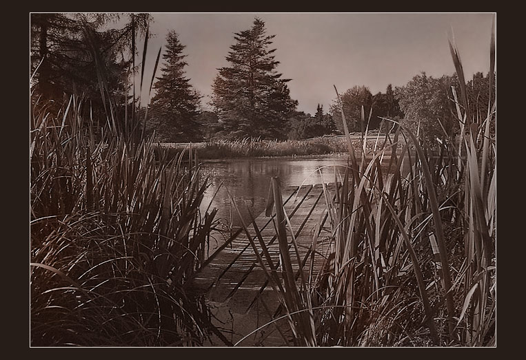 photo "silence..." tags: landscape, summer, water