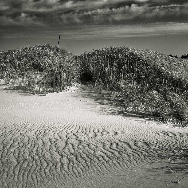 фото "wind@dunes" метки: пейзаж, 