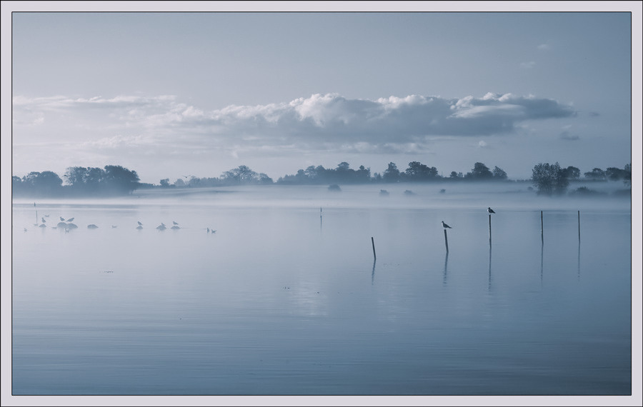 photo "Foggy morning - 1" tags: montage, landscape, water