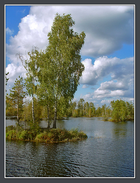 photo "Island postcard with the birch" tags: landscape, autumn, water