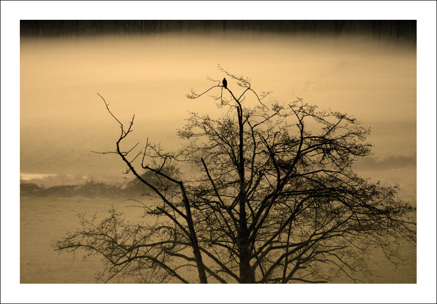 photo "Early Autumn Morning" tags: landscape, autumn