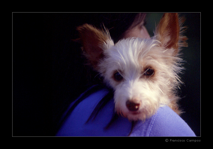 photo "(no title)" tags: nature, reporting, pets/farm animals