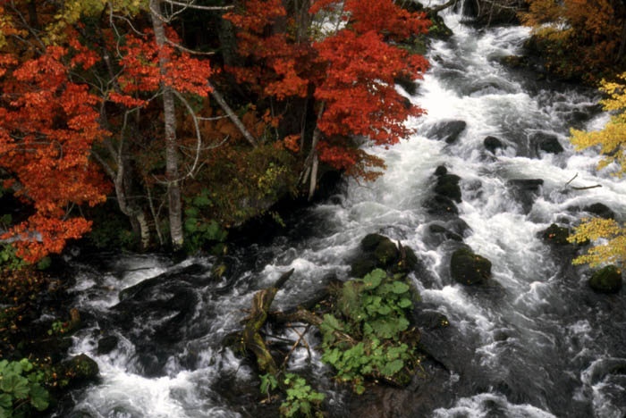 фото "Fall comes to Japan" метки: пейзаж, путешествия, Азия, осень