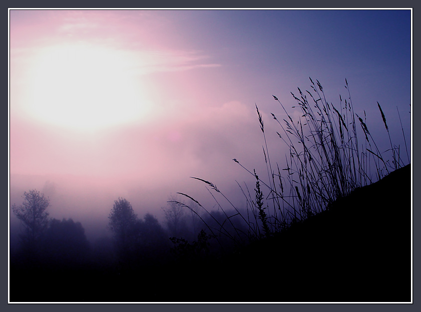 photo "Pink Postcard with foggy Sun" tags: misc., 