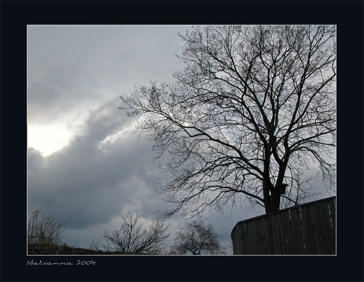 photo "Dark" tags: misc., landscape, autumn