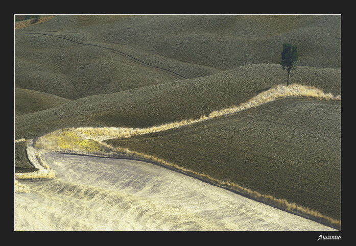 фото "Autunno" метки: пейзаж, 