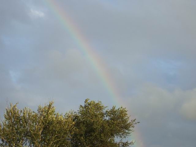 photo "Rainbow" tags: nature, landscape, clouds