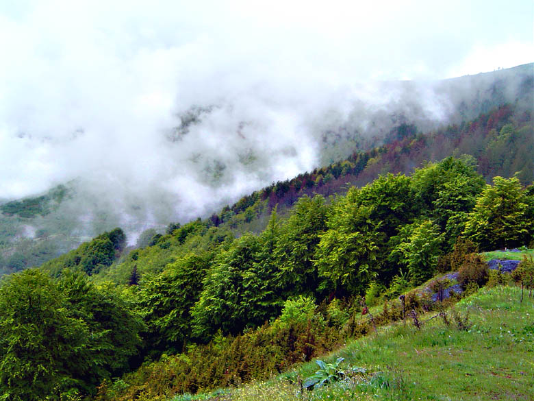 photo "There, where clouds are born 2" tags: landscape, clouds, mountains