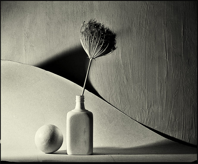 photo "untitled" tags: black&white, still life, 